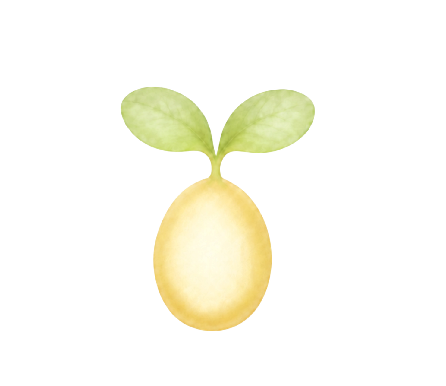 光種子
